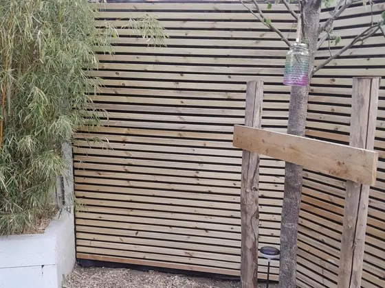 A new slatted timber fence turning a garden corner, with bamboo planting behind