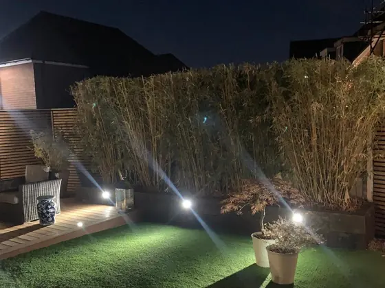 Recessed lighting picking out the lawn edge and planting after dark